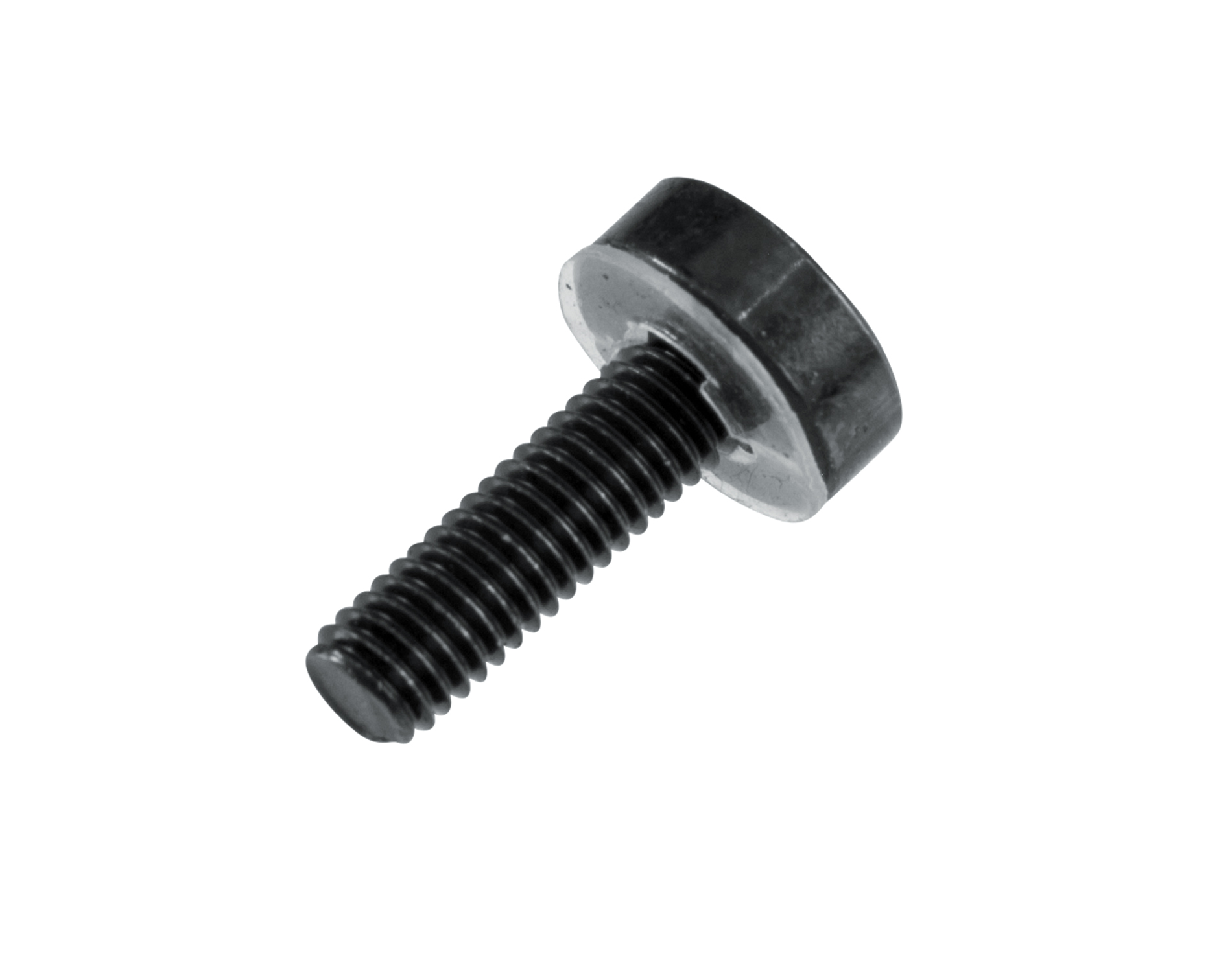 Rack Screws – 25 Pack-GRW-SCRW025