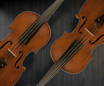Viola