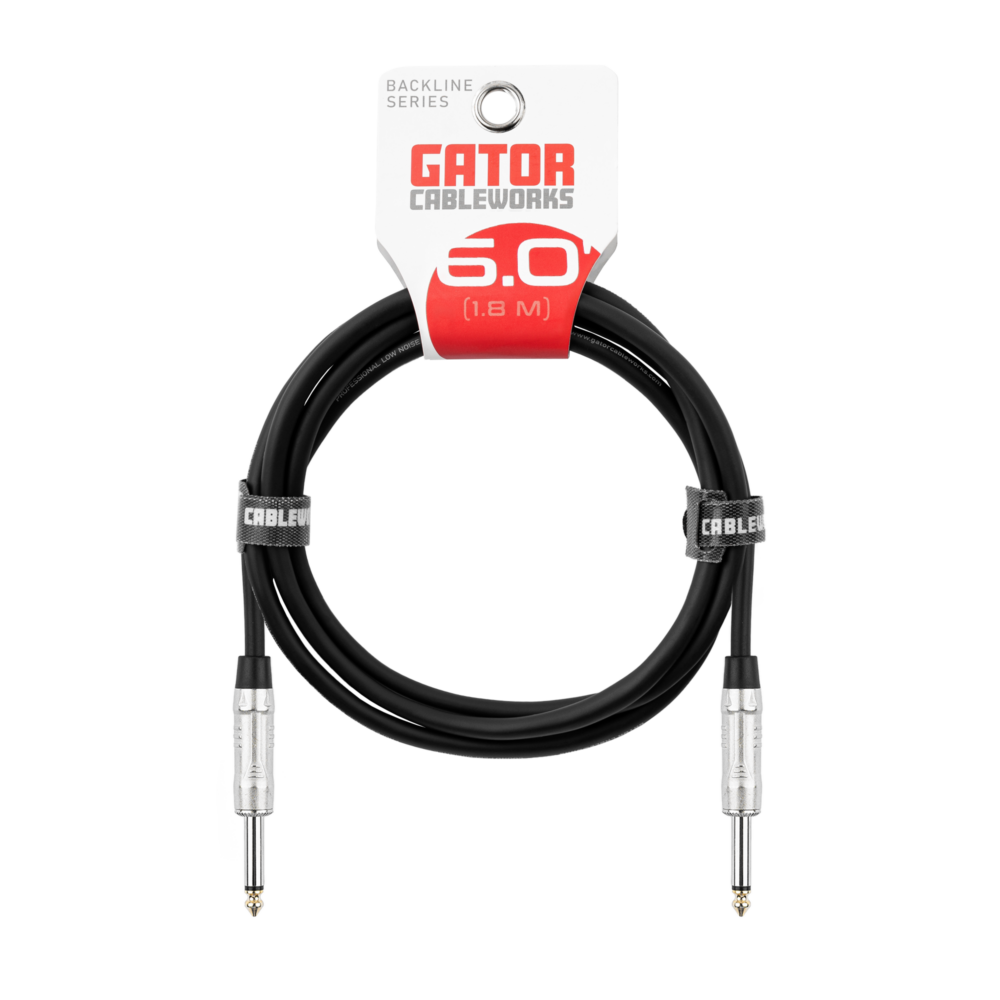 6 Foot TS Speaker Cable