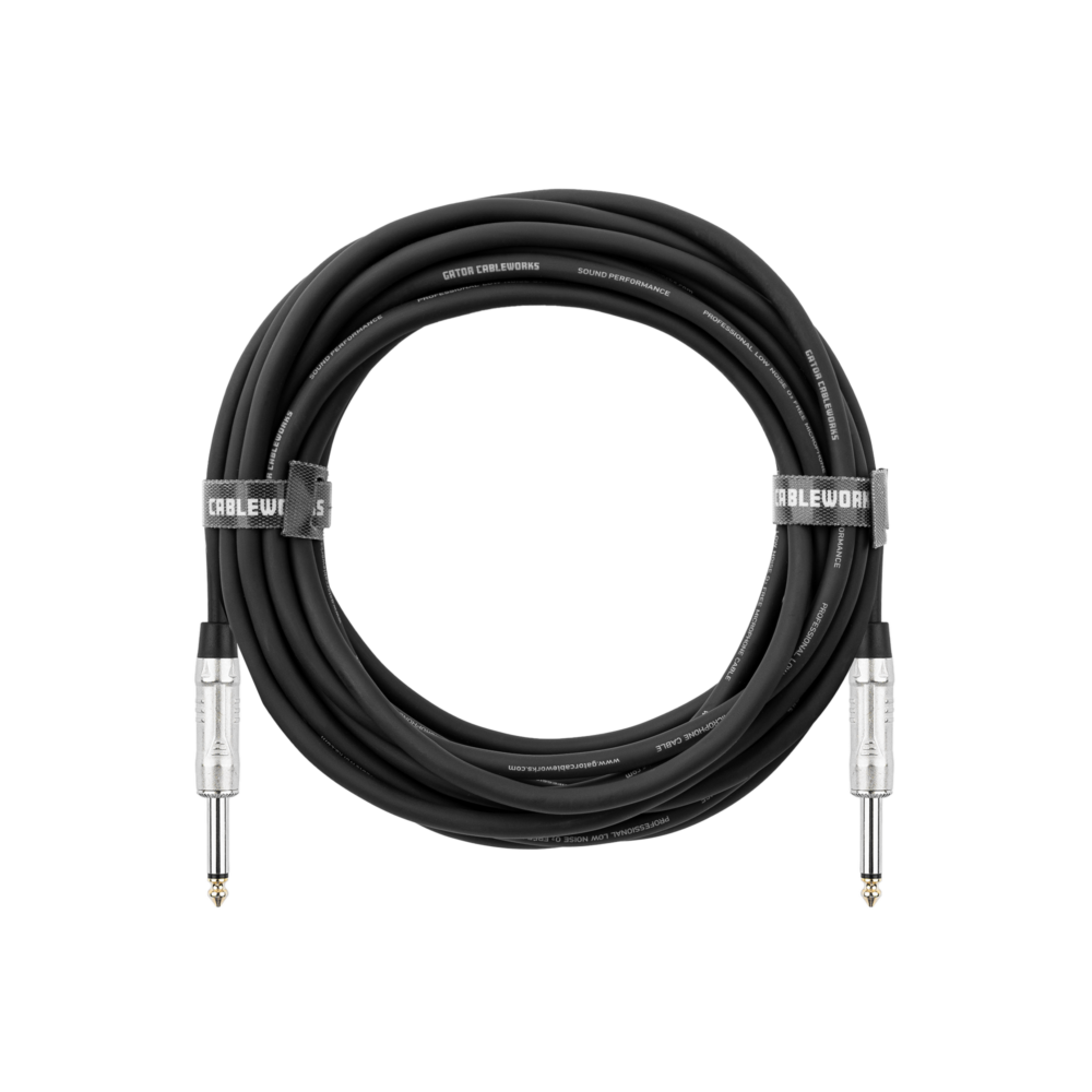 10 Foot TS Speaker Cable