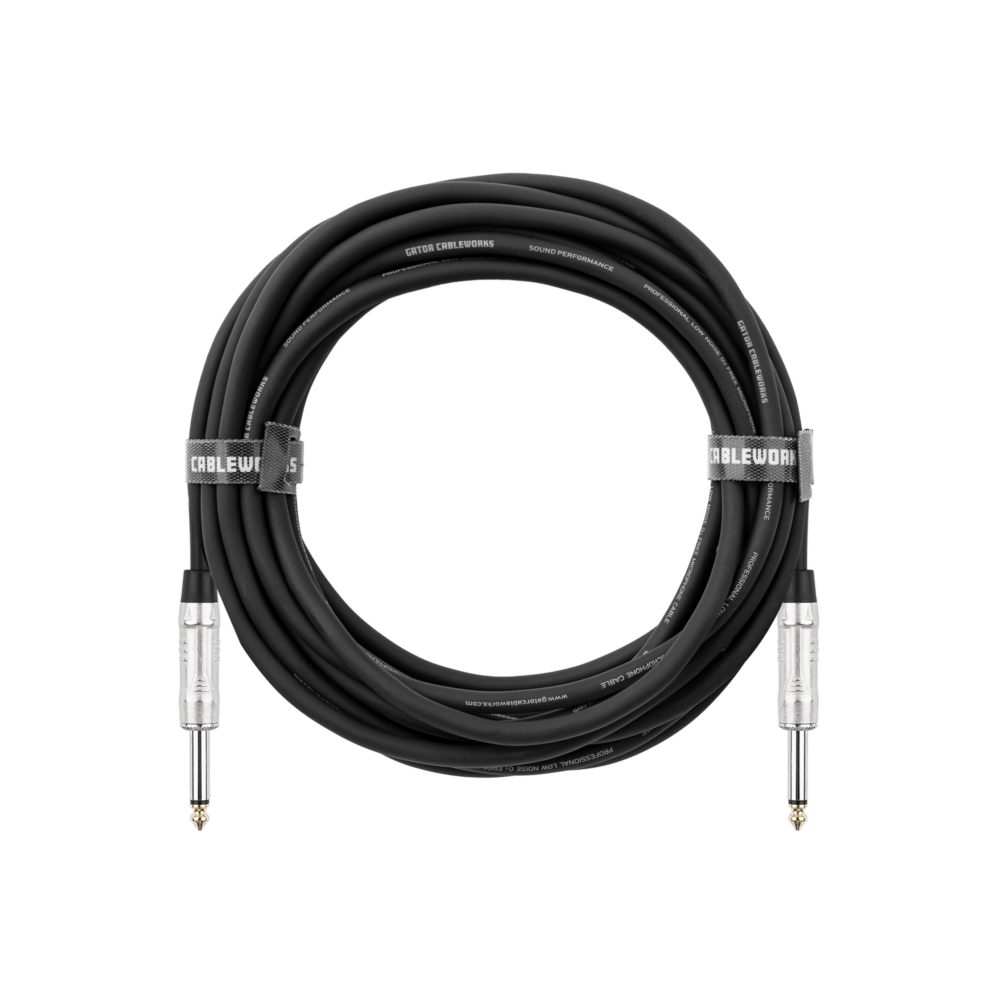 25 Foot TS Speaker Cable