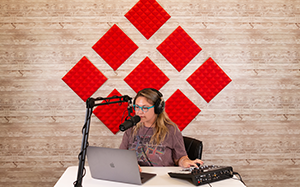 Frameworks Acoustic Panels
